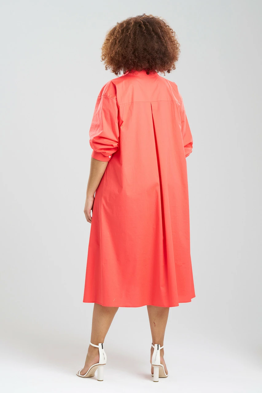 Cotton Poplin El Nido Embroidered Shirtdress 4 Cotton Poplin El Nido Embroidered Shirtdress - Image 4